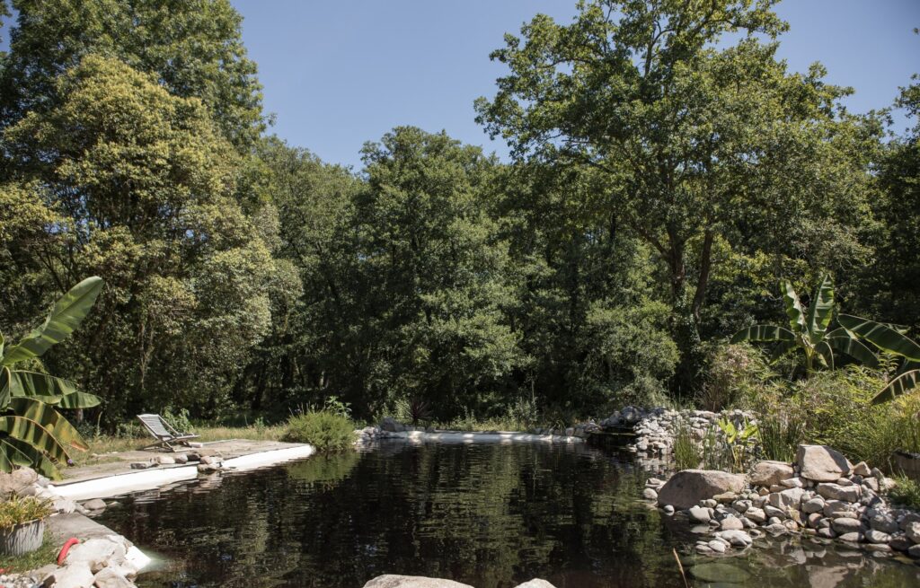 hangarproject-naturalpool-garden